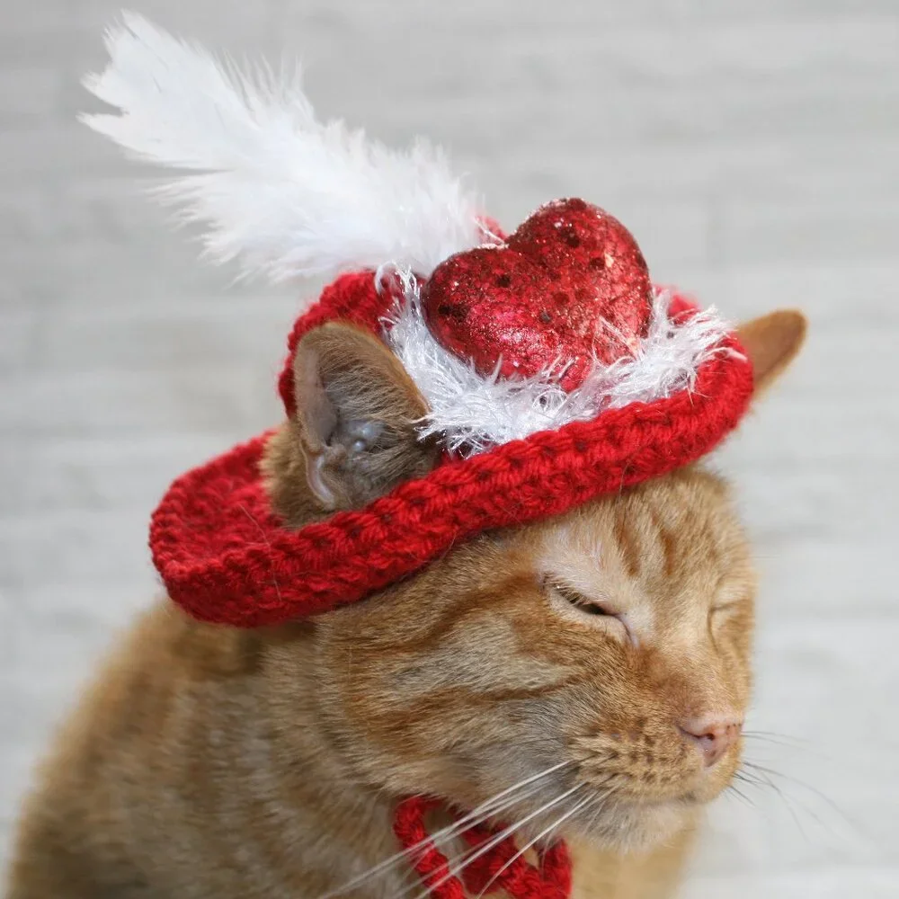 HAND CRAFTED Hat Crochet Valentine's Day Cat Dog Costume Photo Prop Red